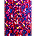 Tissu - Wax 100% coton - Massala - Rose / Rouge / Bleu