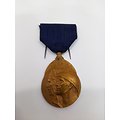 Médaille des Volontaires ww1 Belgique