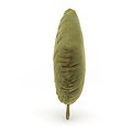Peluche Jellycat Feuille de Hêtre - Woodland Beech Leaf Little - LEAF6B 20cm