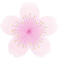 Serviette en papier en forme de Fleur de Cerisier - Lot de 20