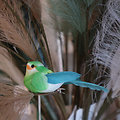 Petit oiseau décoratif à clipser Vert
