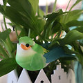 Petit oiseau décoratif à clipser Vert