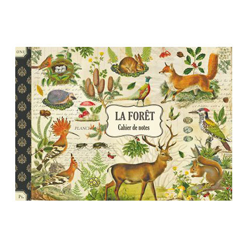 Cahier illustré - La Forêt - Gwenaëlle Trolez Créations