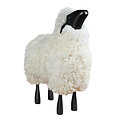SHEEP / MOUTON - Peau lainée