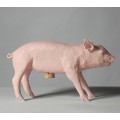 BANK IN THE FORM OF A PIG