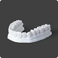 Phrozen - Résine Dental Study Model (1kg)