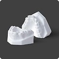 Phrozen - Résine Dental Study Model (1kg)