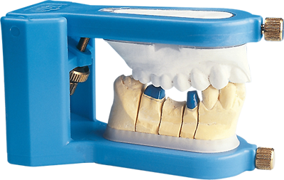 Euro Dentis - Articulateur Cup