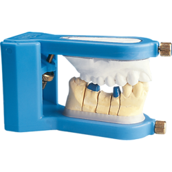 Euro Dentis - Articulateur Cup