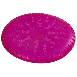 Frisbee Toy Fastic 23,5 cm