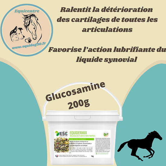 Glucosamine pure – Protection du cartilage