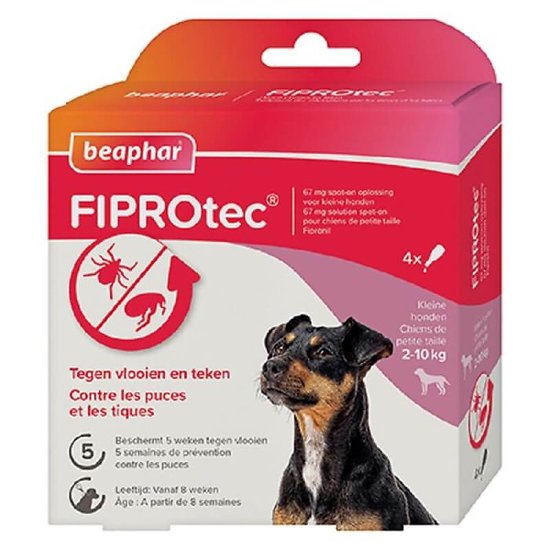 Fiprotec Spot-on chien 2 - 10 kg x4