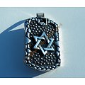 Pendentif Plaque Pur Acier Inoxydable Etoile de David Croix Juive 6 Branches Argenté Israel