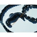 Collier Pendentif Hippocampe Cheval de Mer Hématite Litothérapie