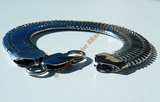 Bracelet Fashion 22 cm Argenté Pur Acier Inoxydable Maille Serpent Extra Large 14 mm