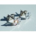 Boucles d'Oreilles Acier Inoxydable Clous Strass Gros Diamant Zircon 5 mm
