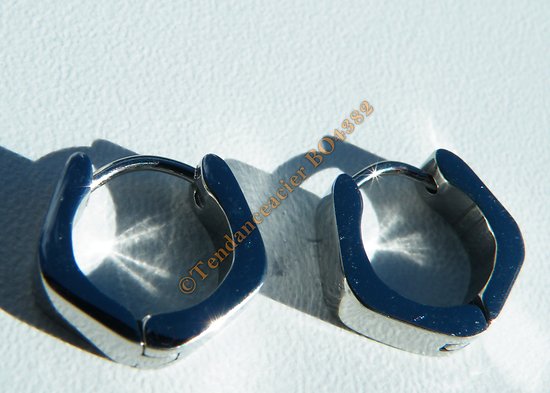 Boucles d'Oreilles 13 mm Acier Inoxydable Créoles Fer à Cheval Argenté 4 mm