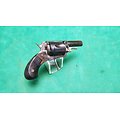Gros revolver bulldog 8mm 1892 a chien