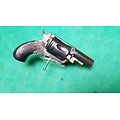 Gros revolver bulldog 8mm 1892 a chien