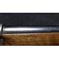 Carabine Buffalo 1895 14mm