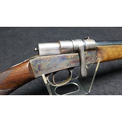 Carabine Buffalo 1895 14mm