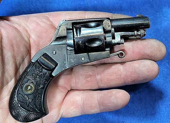 Revolver miniature bulldog puppy 5.5mm