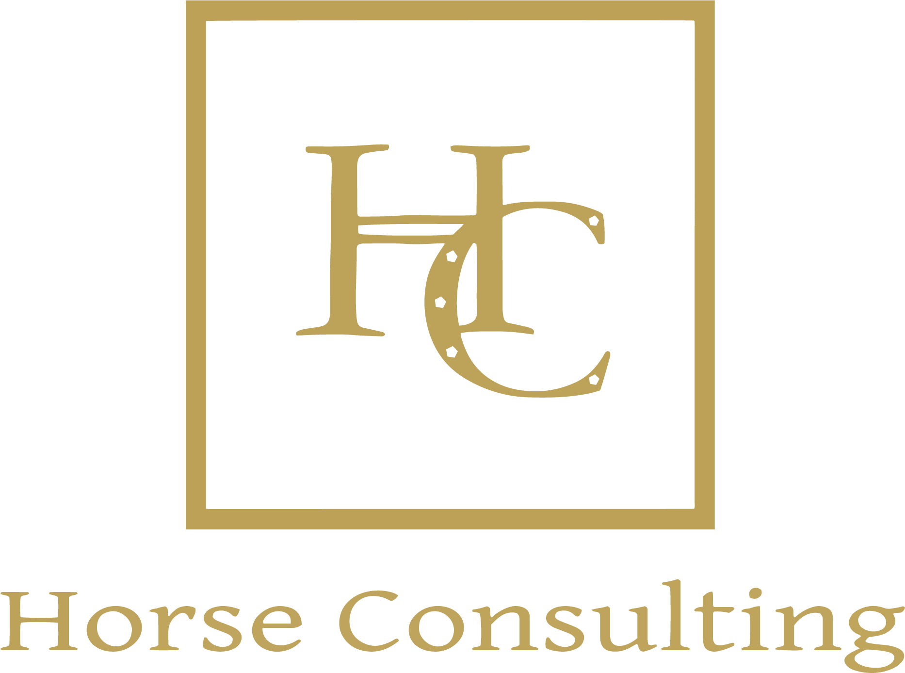 Sellerie Horse Consulting