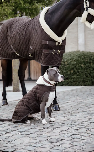 Manteau pour chien Original KENTUCKY   