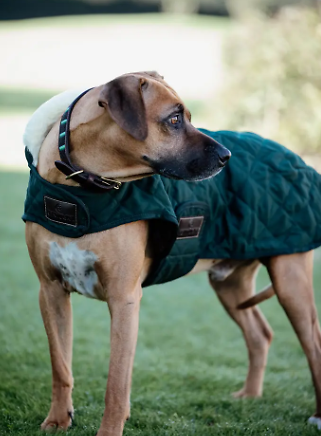 Manteau pour chien Original KENTUCKY    