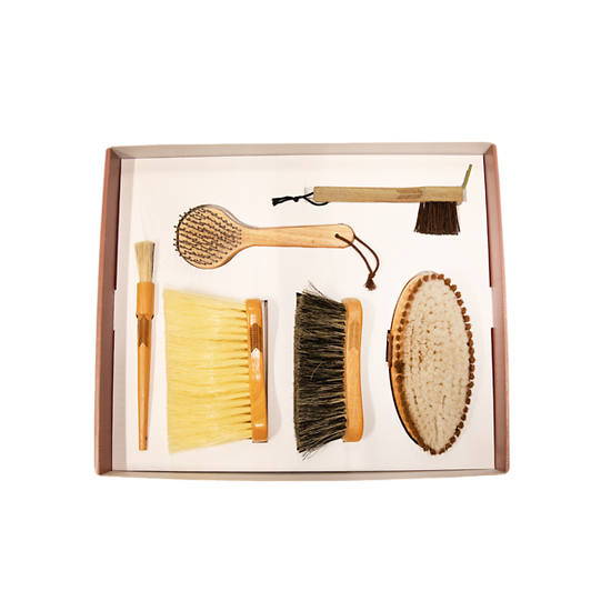 ESSENTIAL BRUSH-SET OF 6 PCS GROOMING DELUXE