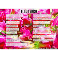 Cadeau : paroles de " Alejandro " par Boldini Style sur une carte postale