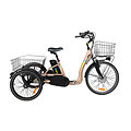 Tricycle CYCLO2 Comfort TH 24 Pouces