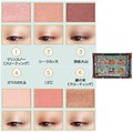 Shiseido - Majolica Majorca -  Palette Nice to meet you trunk courant froid (Dusty pink)