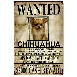 PLAQUE METAL CHIHUHUA WANTED