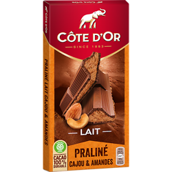 CÔTE D'OR - LAIT - Praliné Cajou & Amandes