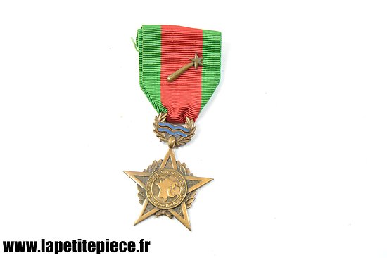 Médaille Campagne Rhin et Danube 1944 - 1945 Première Armée Française, Ne pas Subir. France Libre