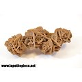  Gypse Rose des sables 16cm