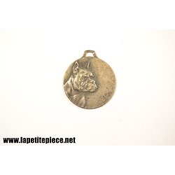 Médaille pour chien, bouledogue - début 20e Siècle