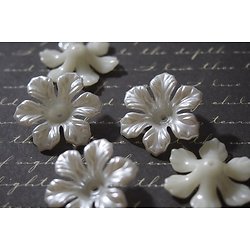 5 grandes perles calottes fleurs en acrylique blanc nacré 26mm