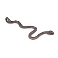 Grande breloque / pendentif serpent en métal couleur bronze 62x22mm