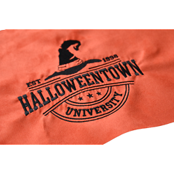 Coupon brodé "Halloweentown University" sur suédine orange 25x40cm