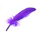 5 grandes plumes d'oie teintées violet 15-20cm