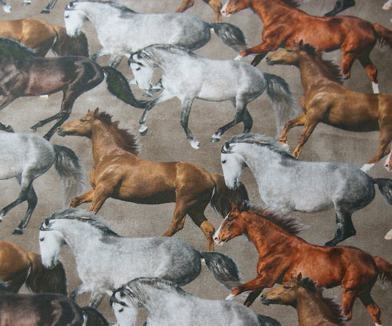 Chevaux au galop, fond taupe