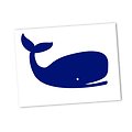 Flex thermocollant baleine - 3 couleurs