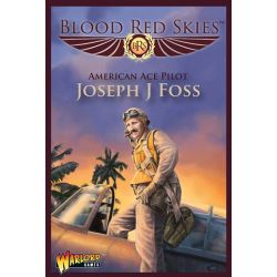 AMERICAN ACE PILOT JOSEPH J FOSS-1 X F4F     1/200
