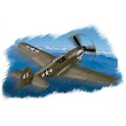 P-40N WARHAWK                              1/72EME