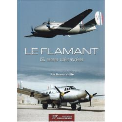 LE FLAMANT & SES DERIVES       PROFILS AVIONS 32