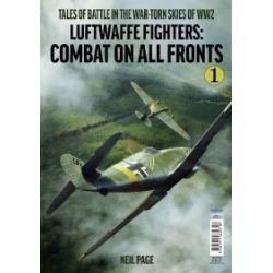 LUFTWAFFE FIGHTERS : COMBAT ON ALL FRONTS 1