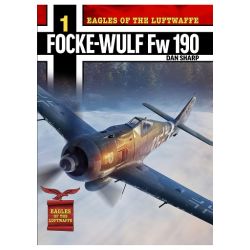 FOCKE-WULF FW190         EAGLES OF THE LUFTWAFFE 1