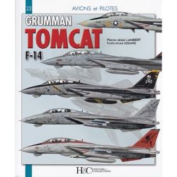 GRUMMAN F-14 TOMCAT     AVIONS ET PILOTES 23